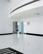 Silicate boards, water and fire resistant building boards