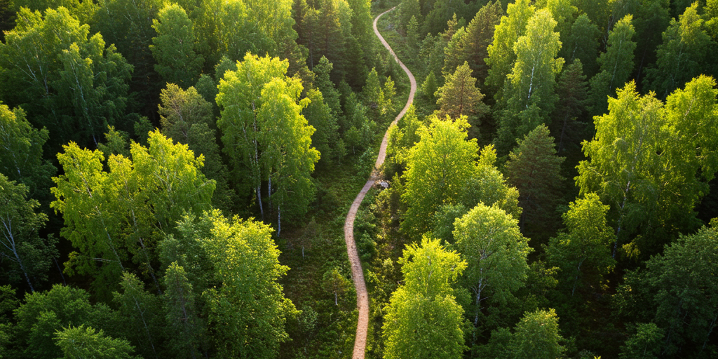 10 лучших походных троп Эстонии: Откройте для себя природу Балтики! the-10-best-hiking-trails-in-estonia-discover-balt.png